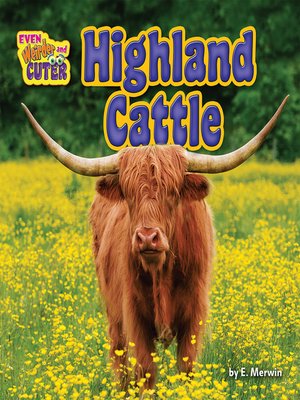 cover image of Highland Cattle